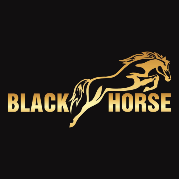 Black Horse (One piece) - Image 2